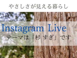 【Instagram Live開催しました】社員が語る“木のはなし”シリーズ、第2回！テーマは『杉すぎ』です！